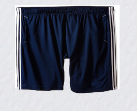 Sports Shorts